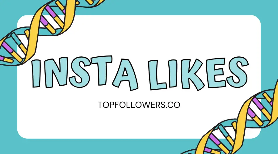 Versterk je Instagram Aanwezigheid met Insta Like - Krijg Vandaag Meer Likes