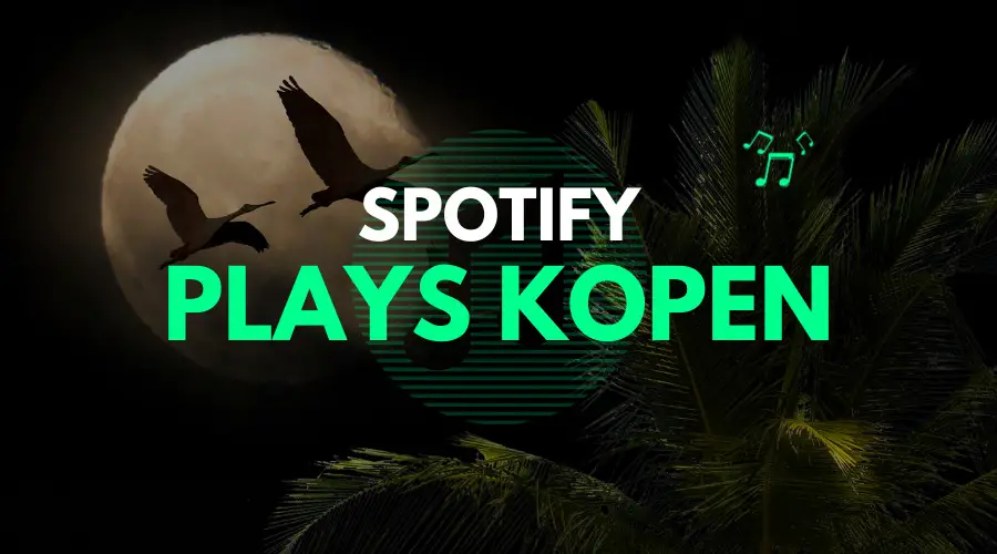 Koop Spotify Plays - Verhoog vandaag de populariteit van jouw muziek